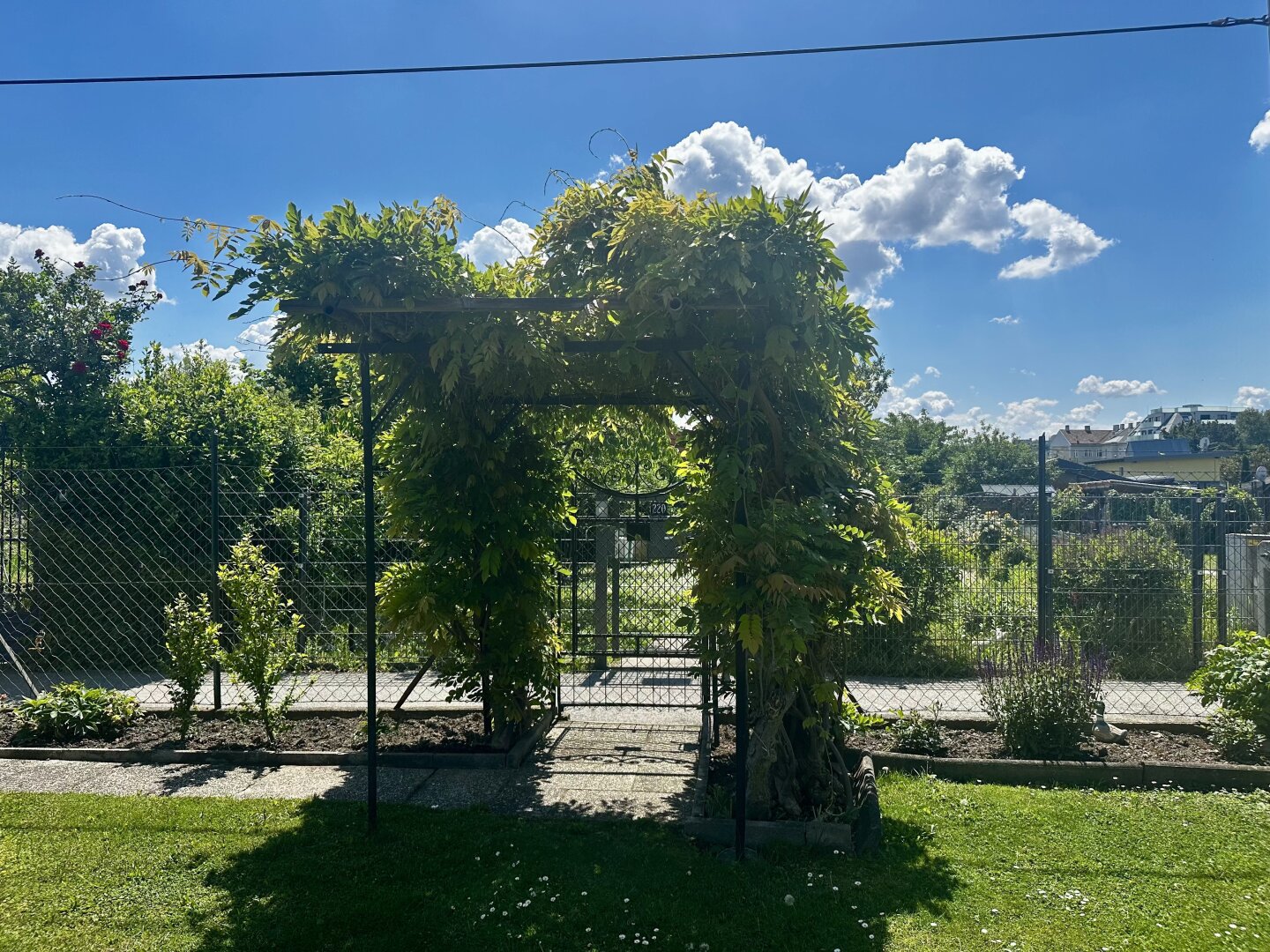 Immobilienfoto
