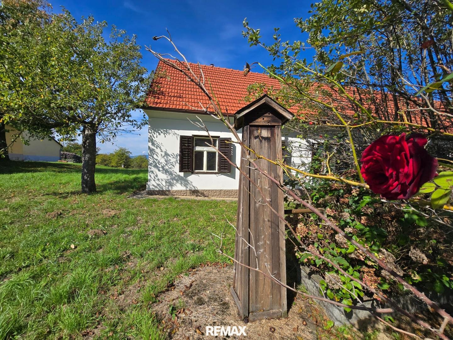 Immobilienfoto