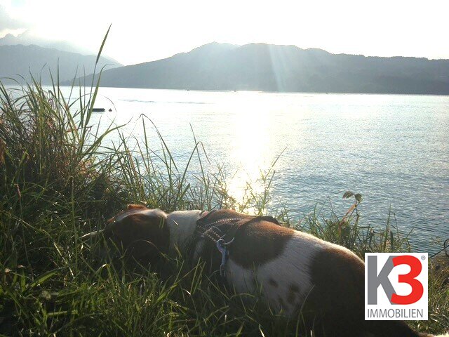 K3 - SELTENE GELEGENHEIT - Baugrundstück   I N K L U S I V E   Benutzungsrecht für BADEPLATZ! Wohnen am traumhaften ATTERSEE!