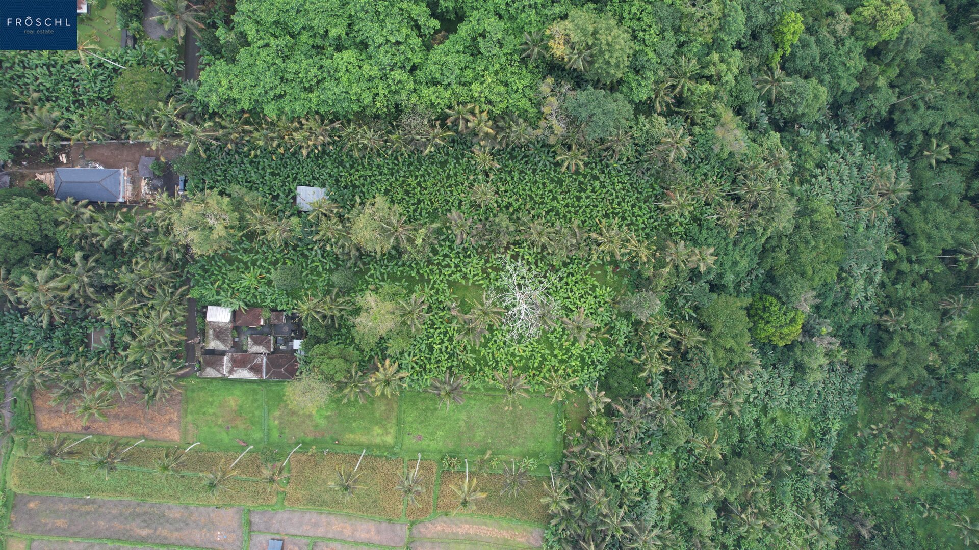 Ubud, Bali - Indonesien – 6.000 m² für Visionäre - Seltenes Freehold-Grundstück mit Tourismuswidmung