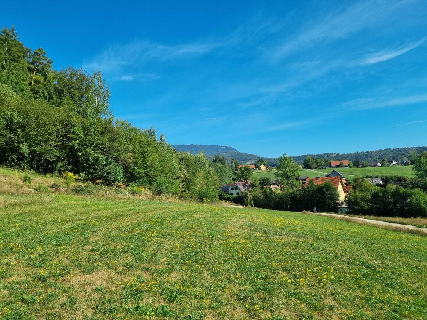Immobilienfoto