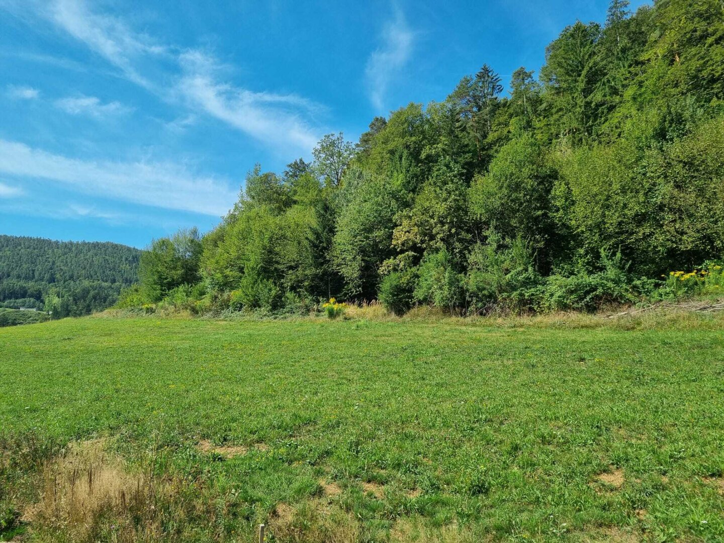 Immobilienfoto