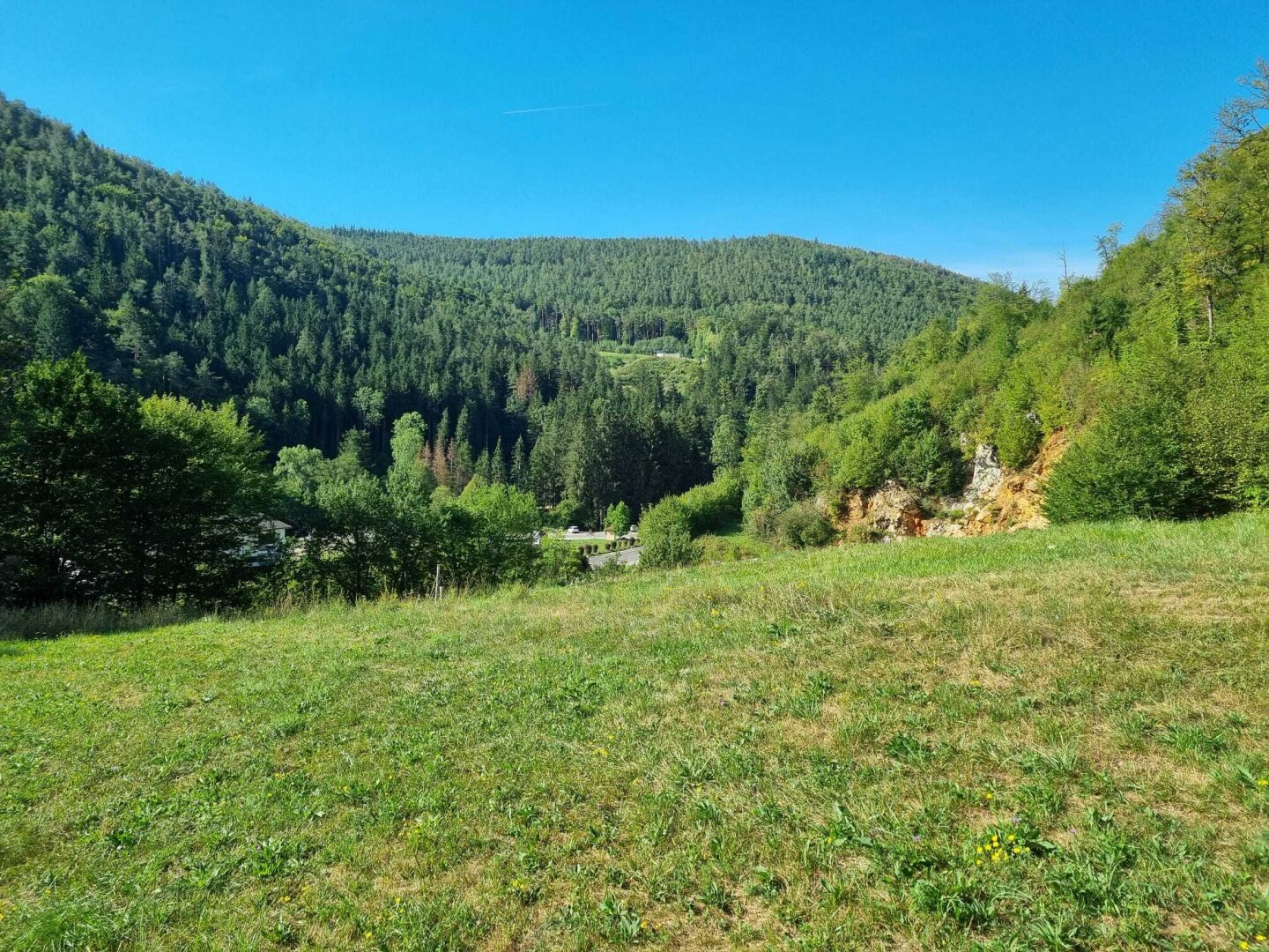 Immobilienfoto