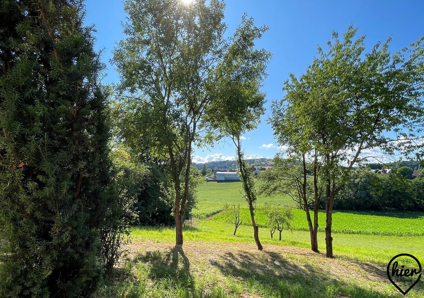 Immobilienfoto
