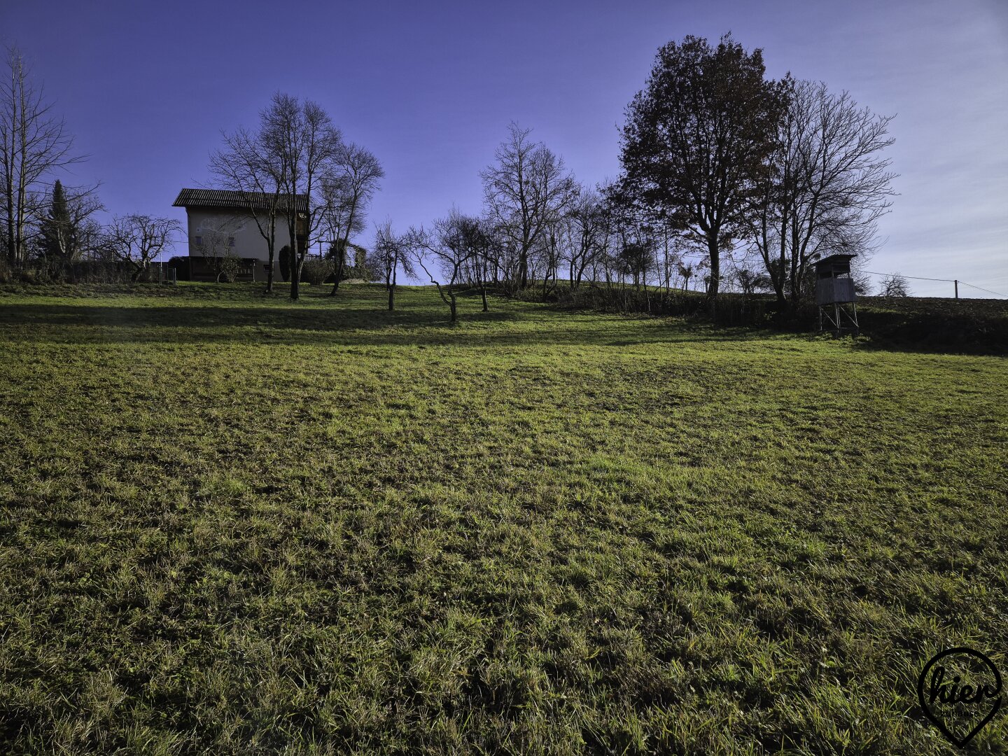 Immobilienfoto