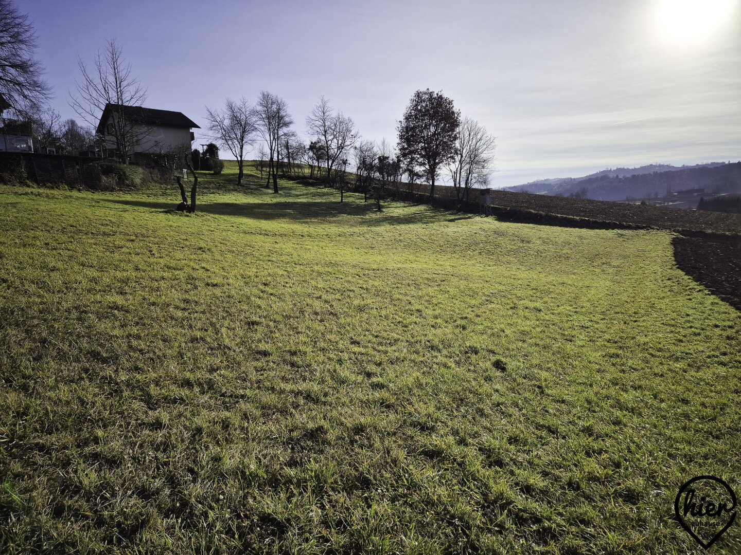 Immobilienfoto