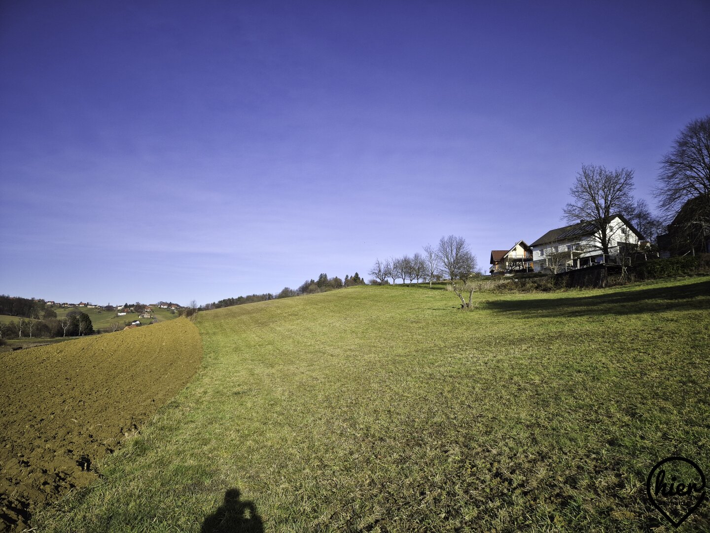 Immobilienfoto