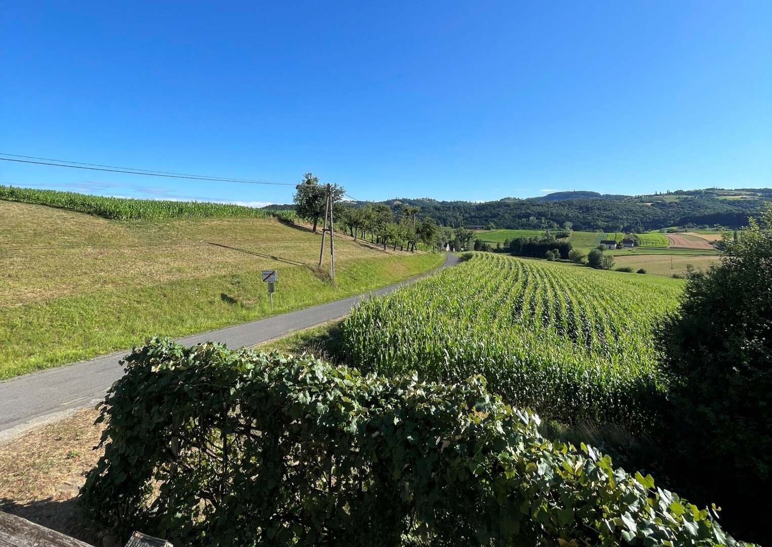 Rückzugsort mit 7.600 m² Grund & Fernblick – Natur, Ruhe & Möglichkeiten in St. Nikolai im Sausal