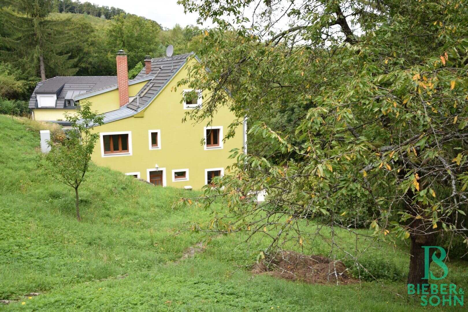 Immobilienfoto