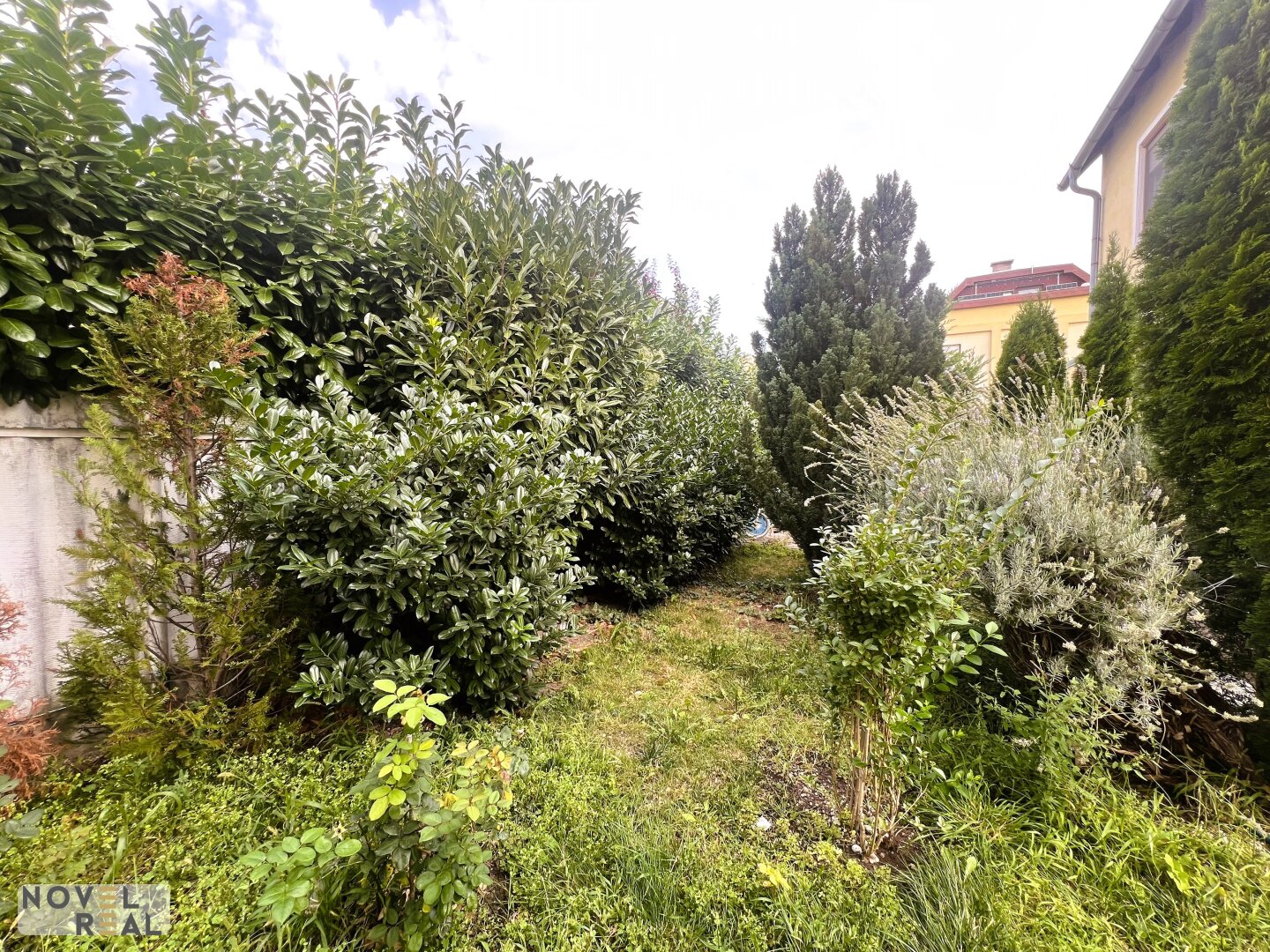 Immobilienfoto