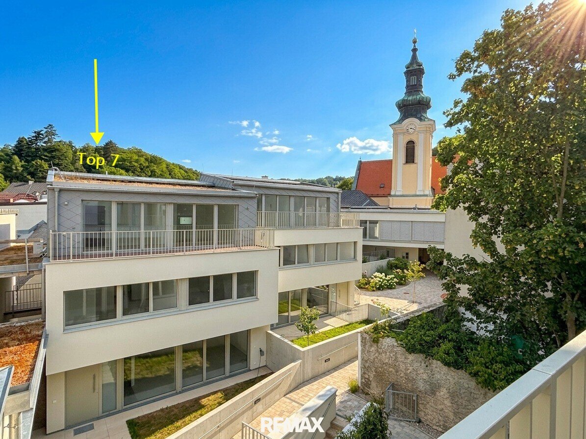 Haus 7: Weidling Collection – Courtyard
