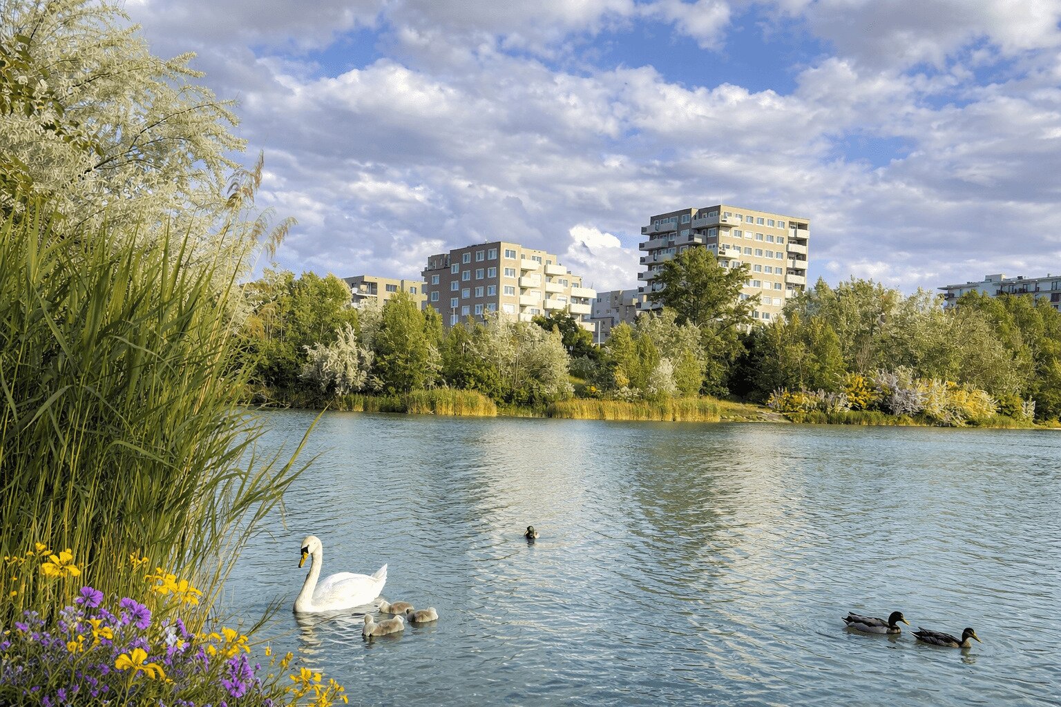 Leo am Teich - Wohnen am Wasser