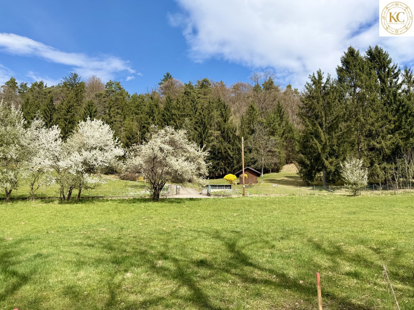 Immobilienfoto