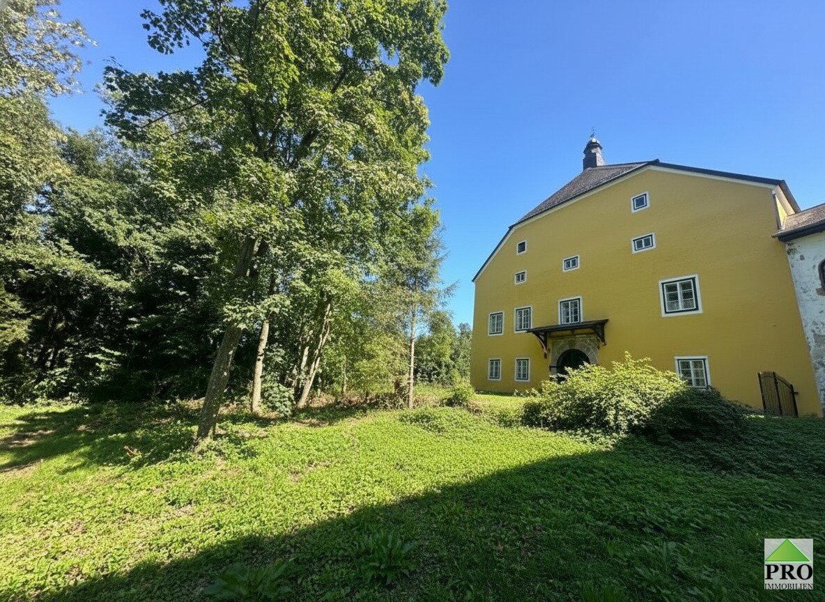 Immobilienfoto