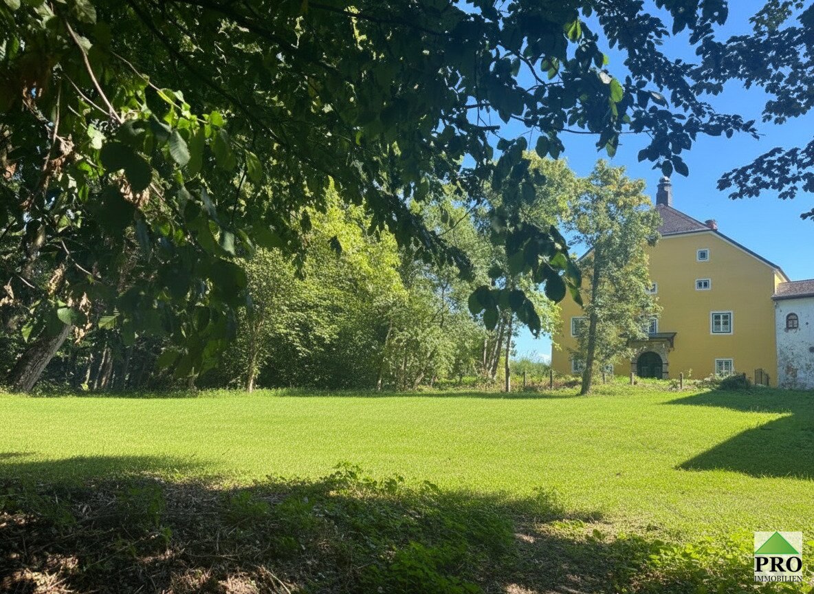 Immobilienfoto