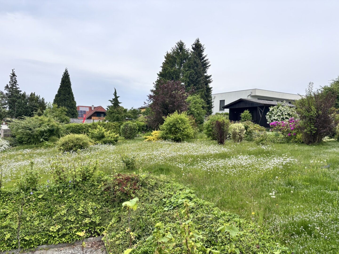 Immobilienfoto