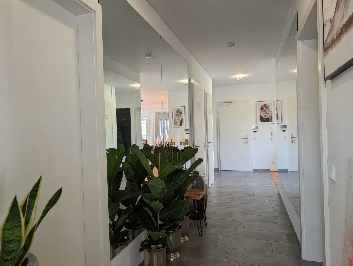 Immobilienfoto