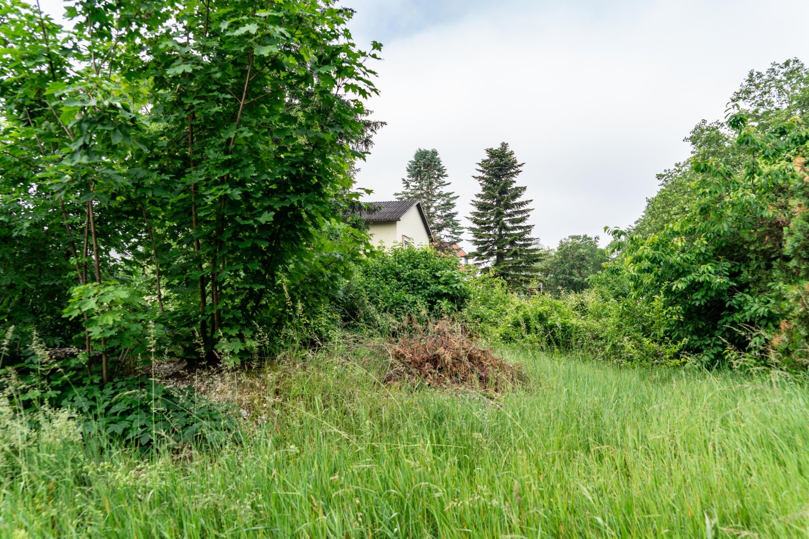 Immobilienfoto