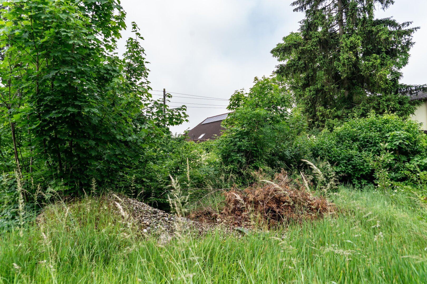 Immobilienfoto