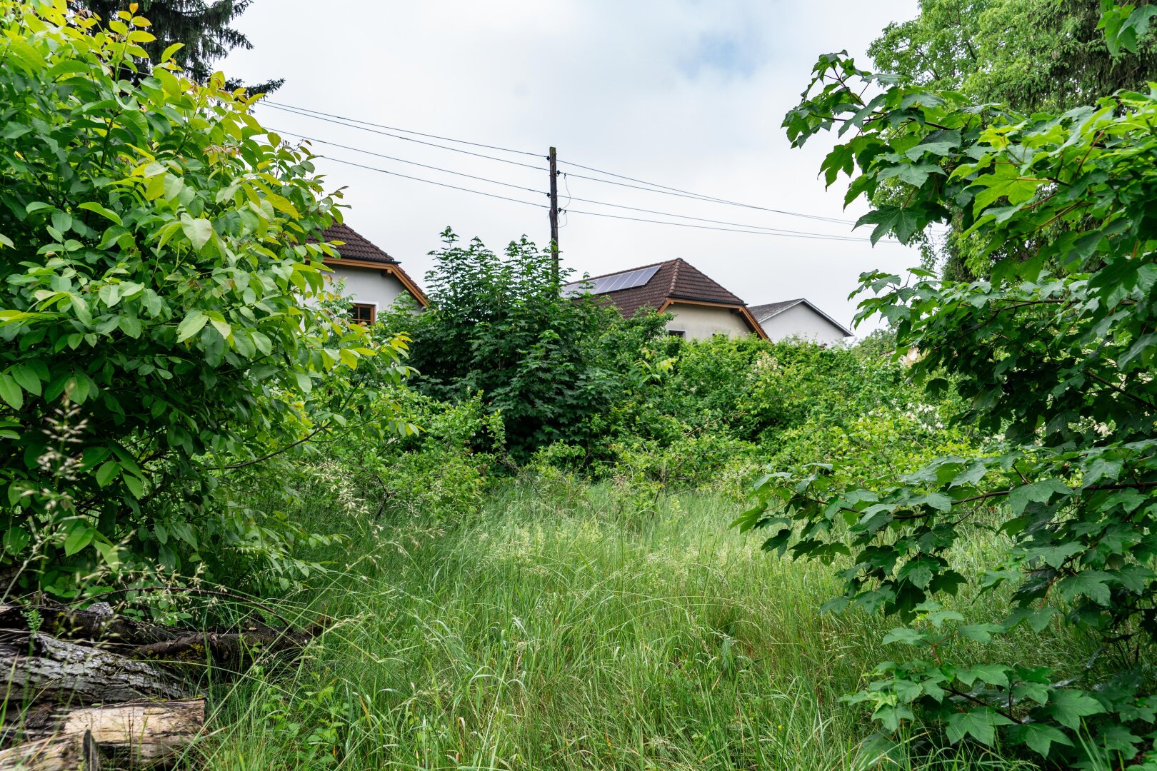Immobilienfoto