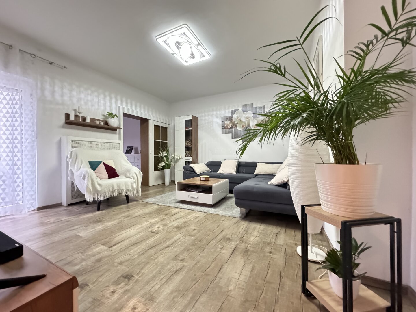 Immobilienfoto