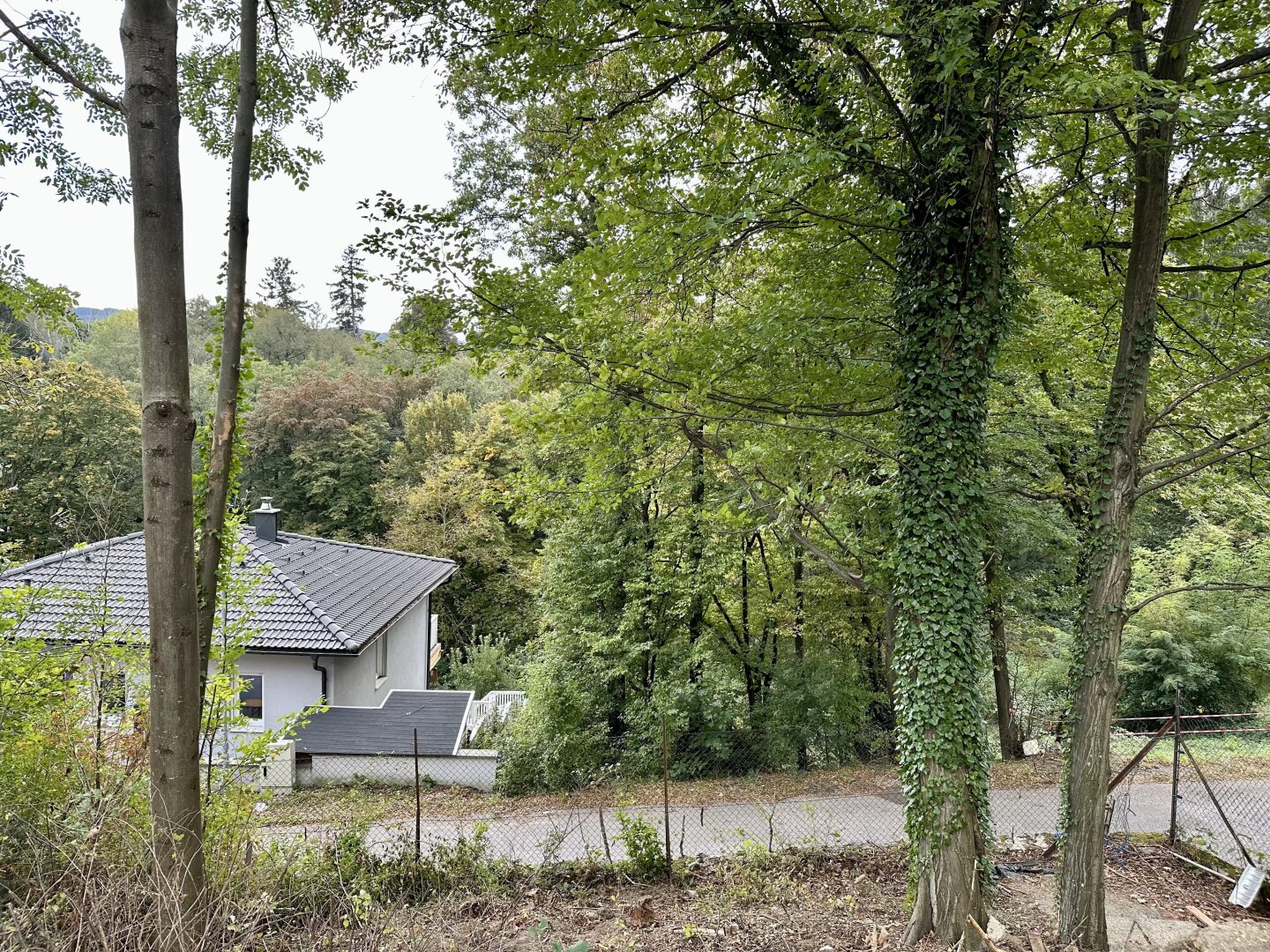 Immobilienfoto