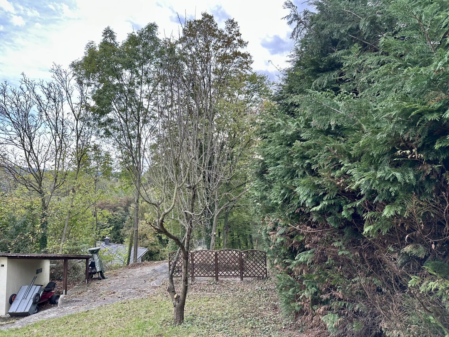 Immobilienfoto