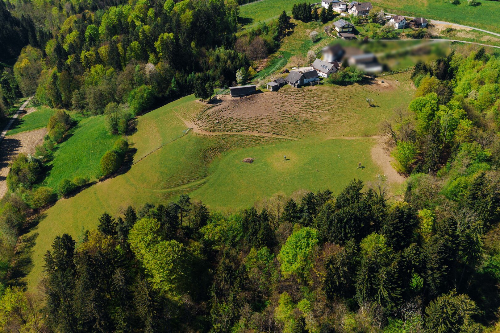 Immobilienfoto