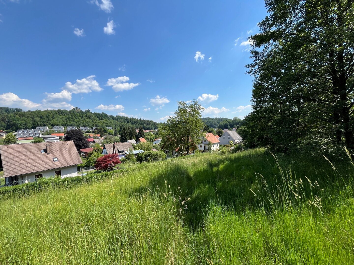 Immobilienfoto