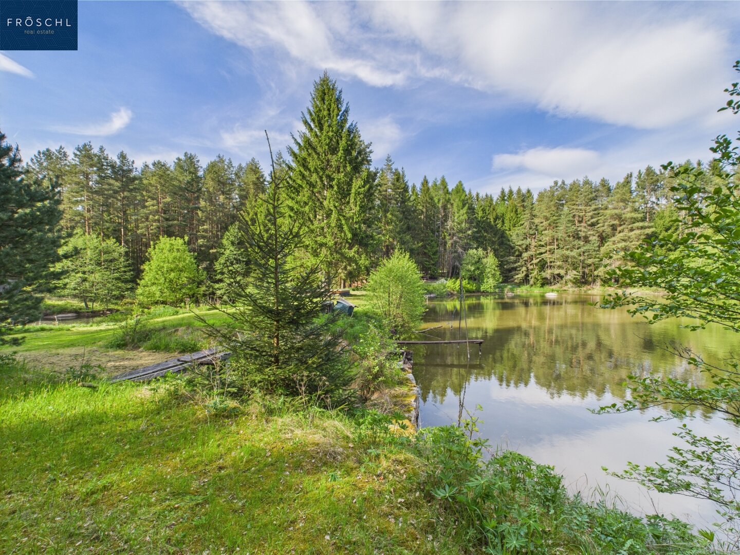 Immobilienfoto