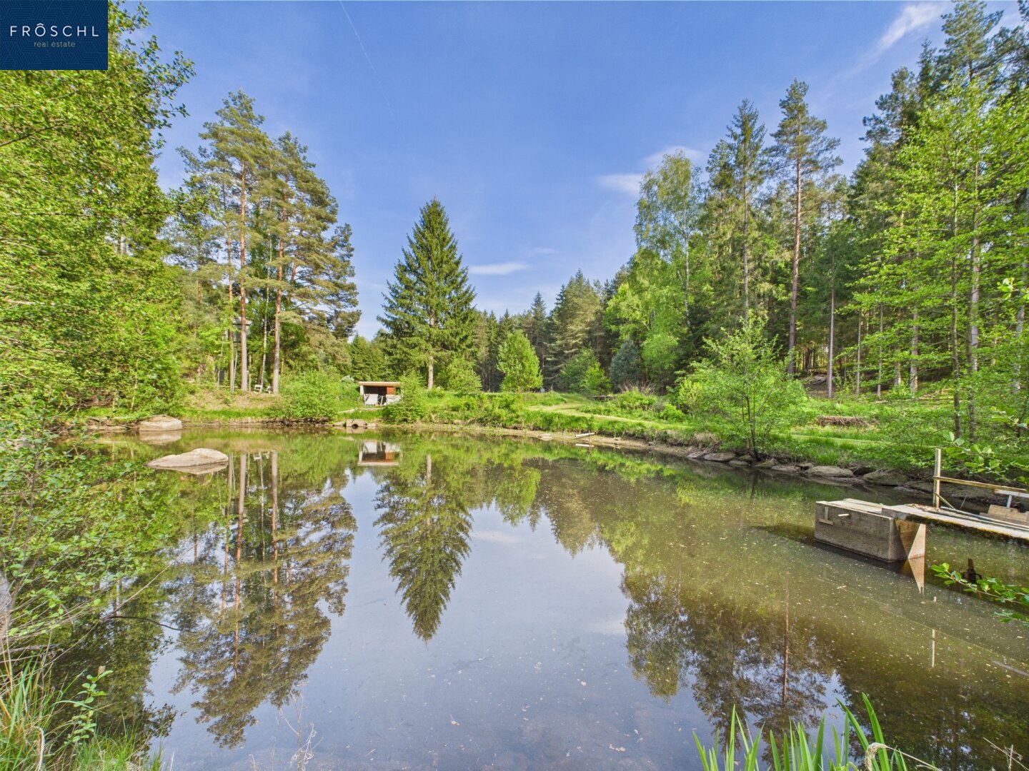 NATURJUWEL WALDVIERTEL - Professionelle Waldteichanlage 4,3 ha