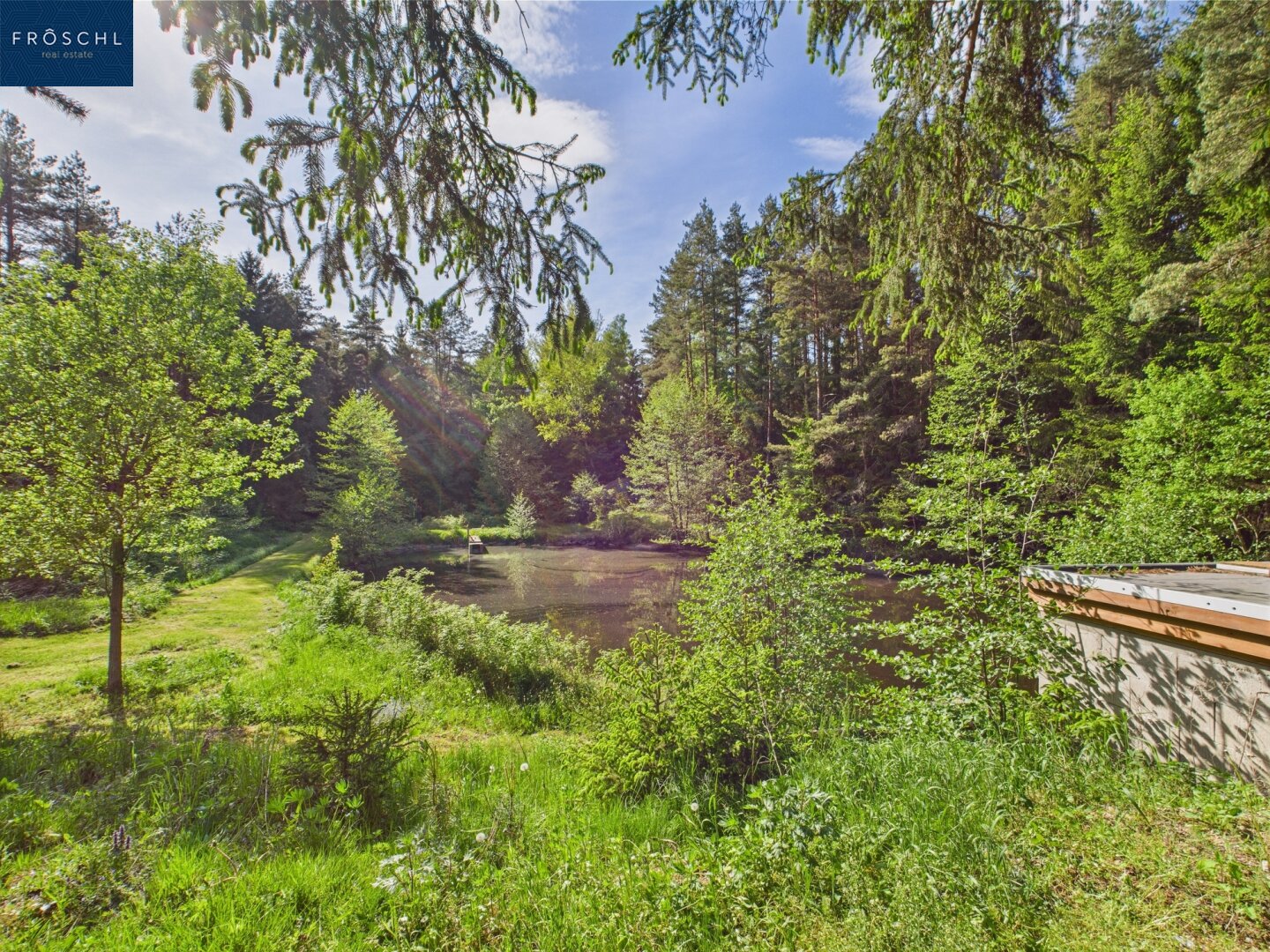 Immobilienfoto
