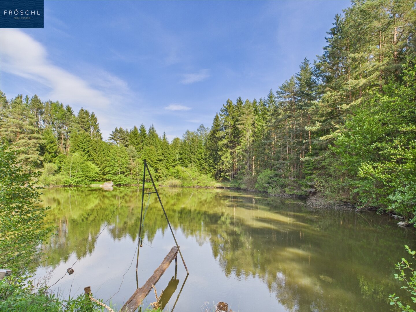 Immobilienfoto