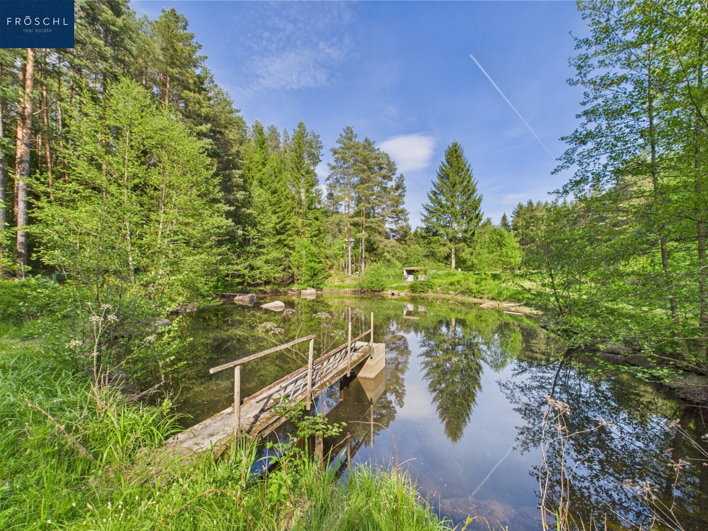 Immobilienfoto