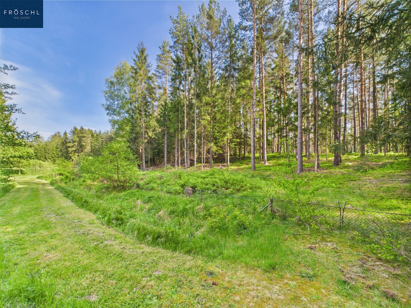 Immobilienfoto
