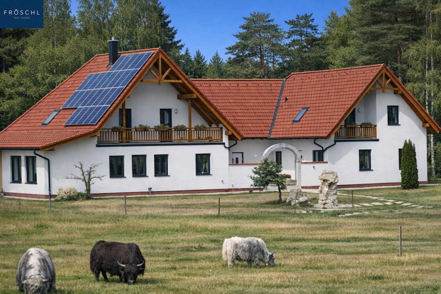 Immobilienfoto