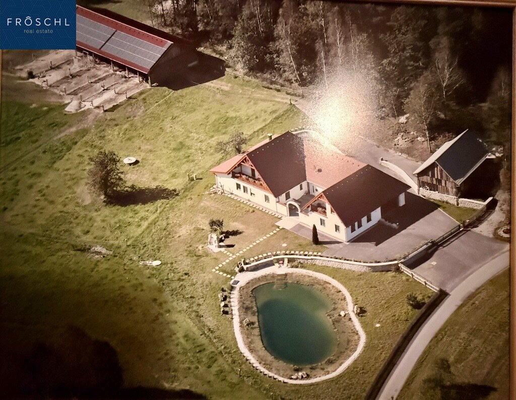 Immobilienfoto