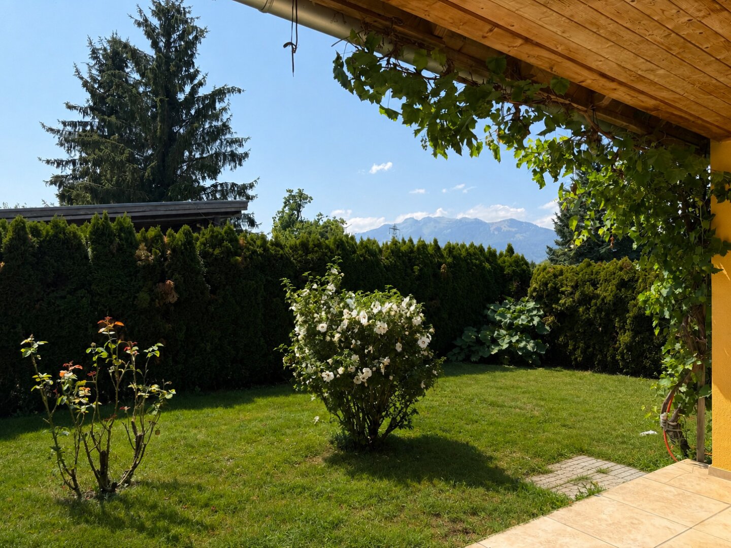 Immobilienfoto