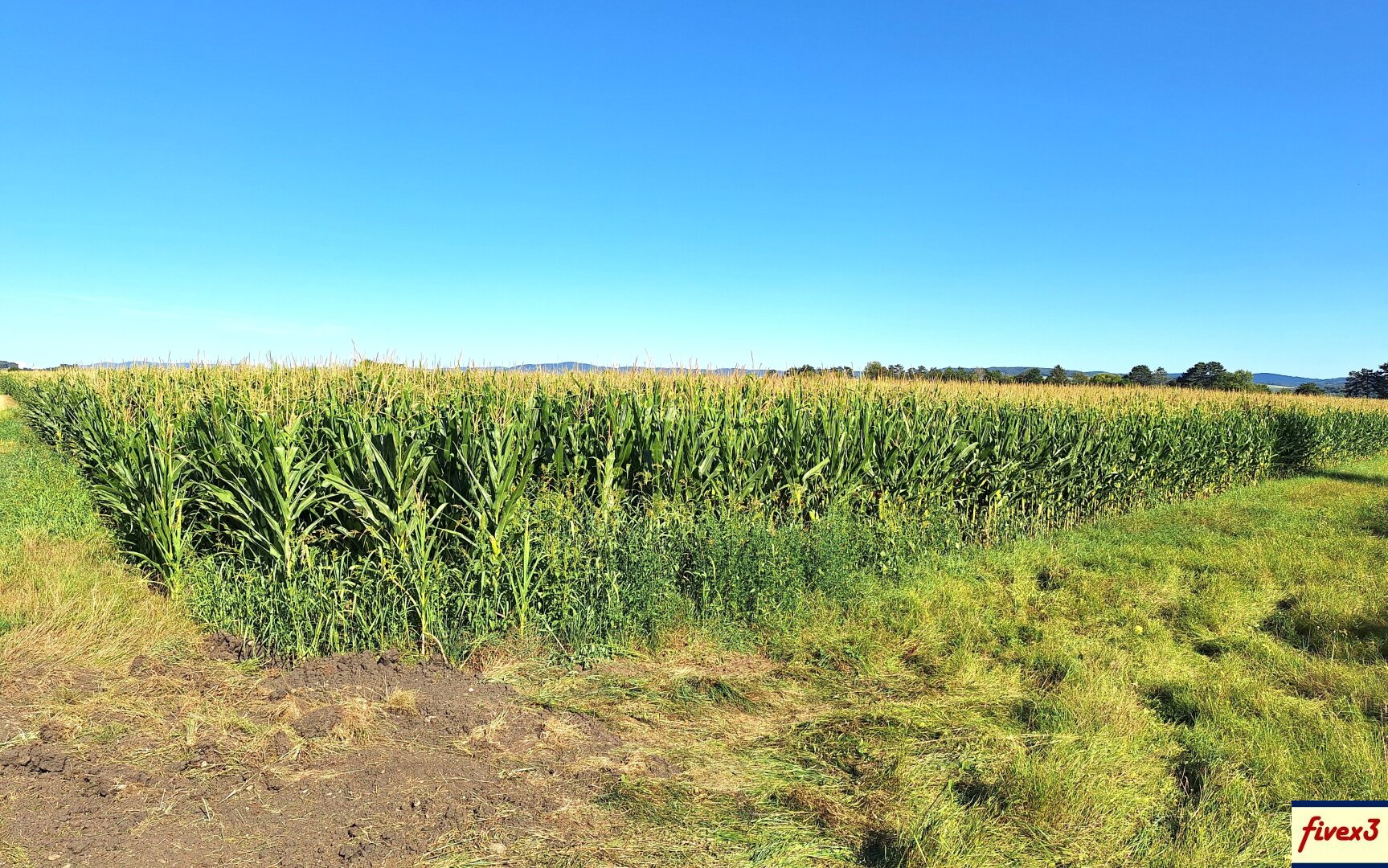 BIETERVERFAHREN - Acker ca. 1,7 ha in der Gemeinde Langenrohr - Nähe Rust im Tullnerfeld - zu kaufen