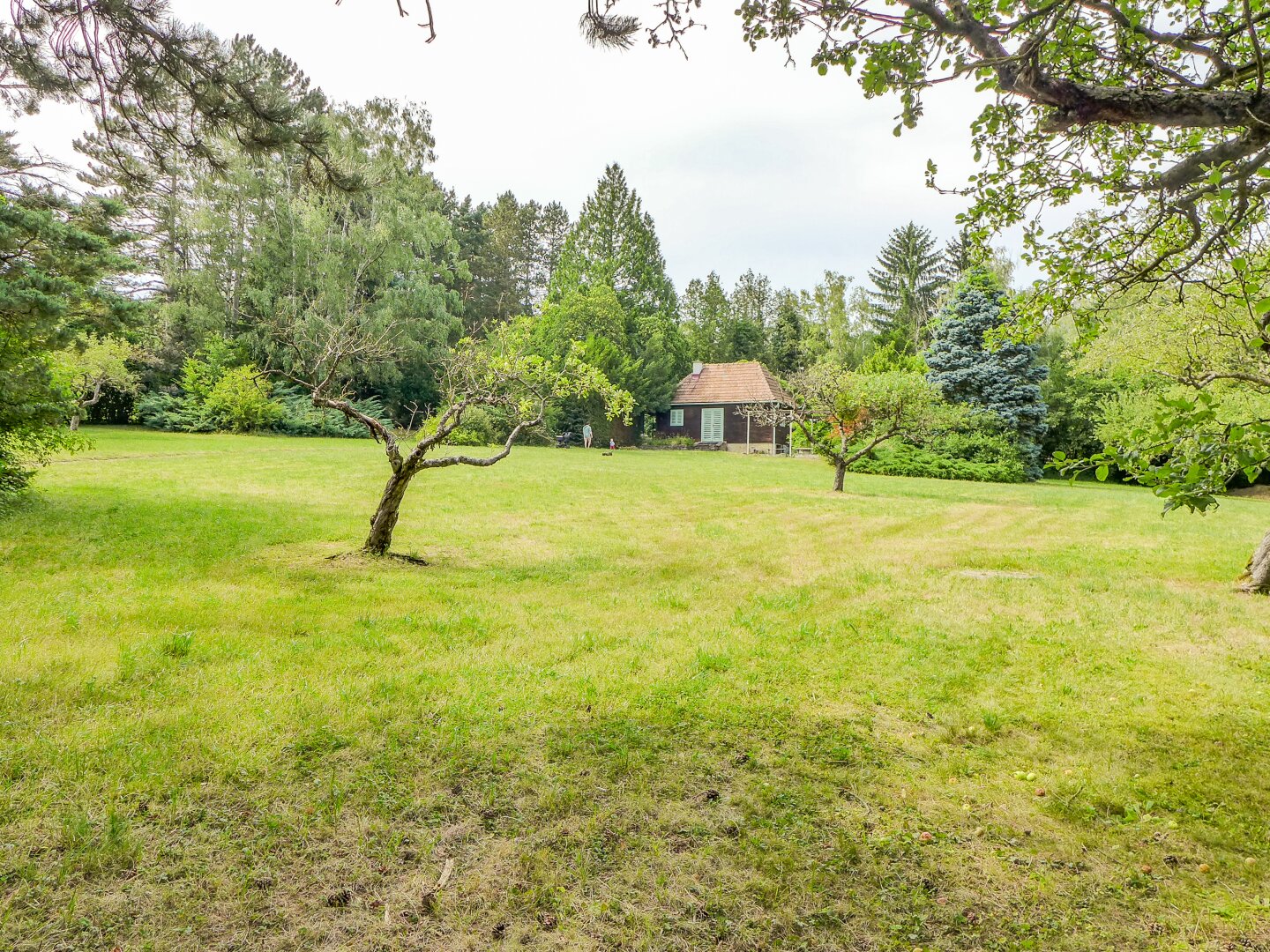 Immobilienfoto