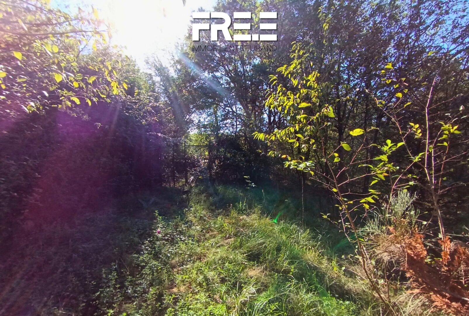 GRÜNLAND | Freizeitgrundstück mit ca. 1106m² in einer Melker Katastralgemeinde