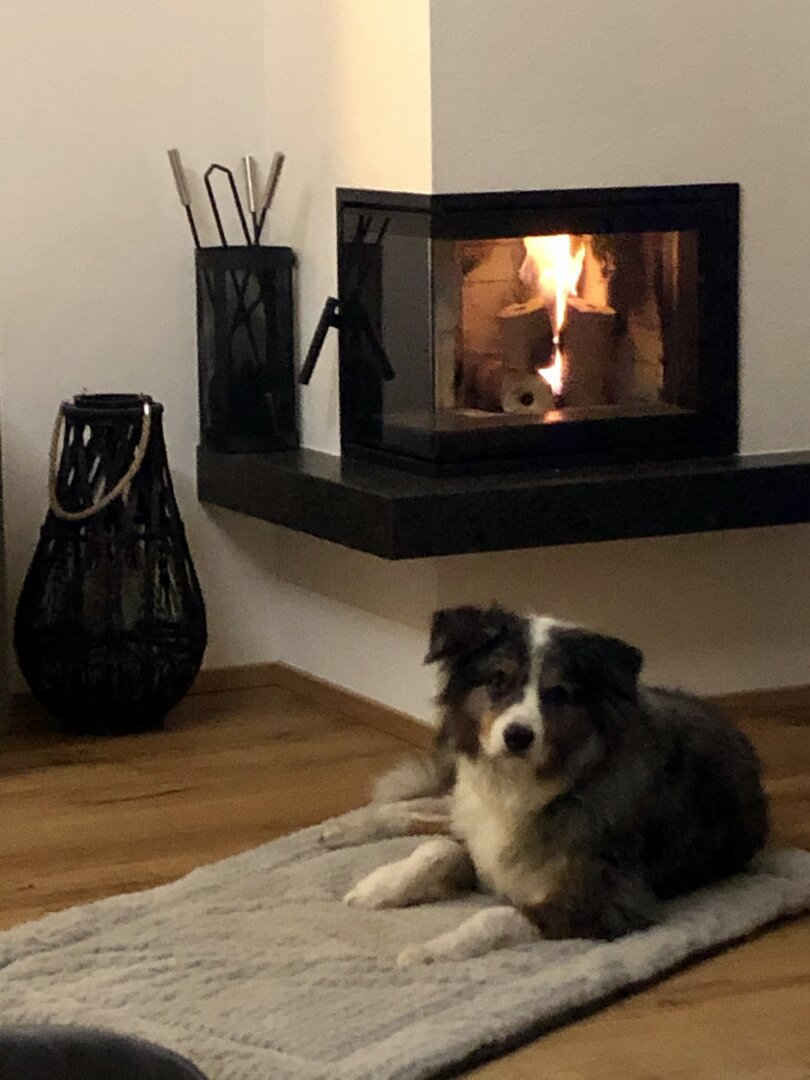 GESUCHT wird......ab 90m² Wohnfläche, mit Garten oder Terrasse sowie  Abstellplatz fürs Auto!