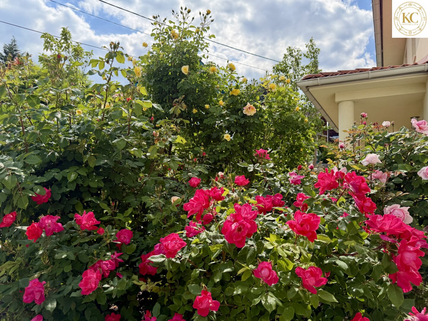 Immobilienfoto