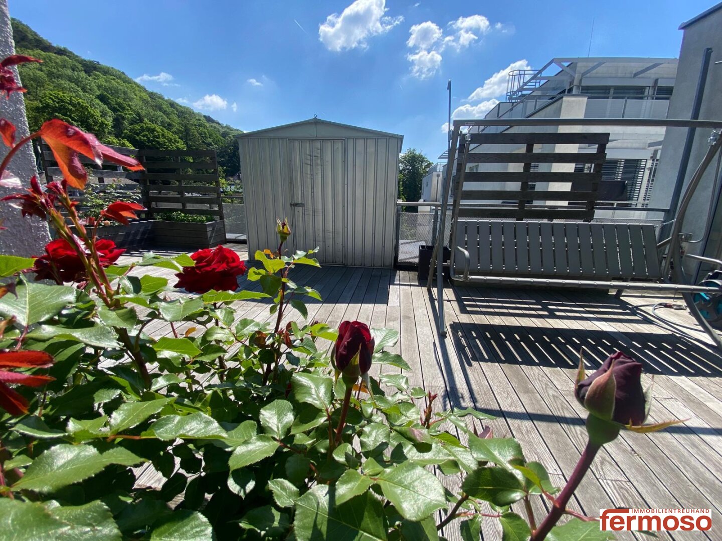 Immobilienfoto