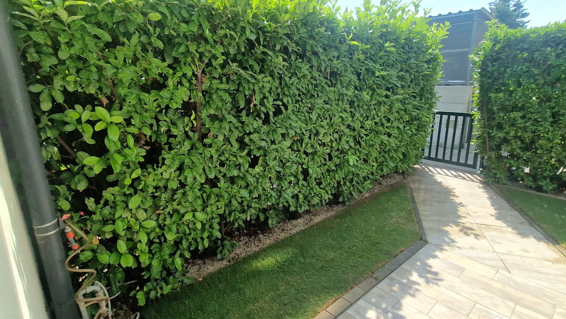 Seltene Gelegenheit - Gartenwohnung in absoluter Ruhelage in Leobersdorf
