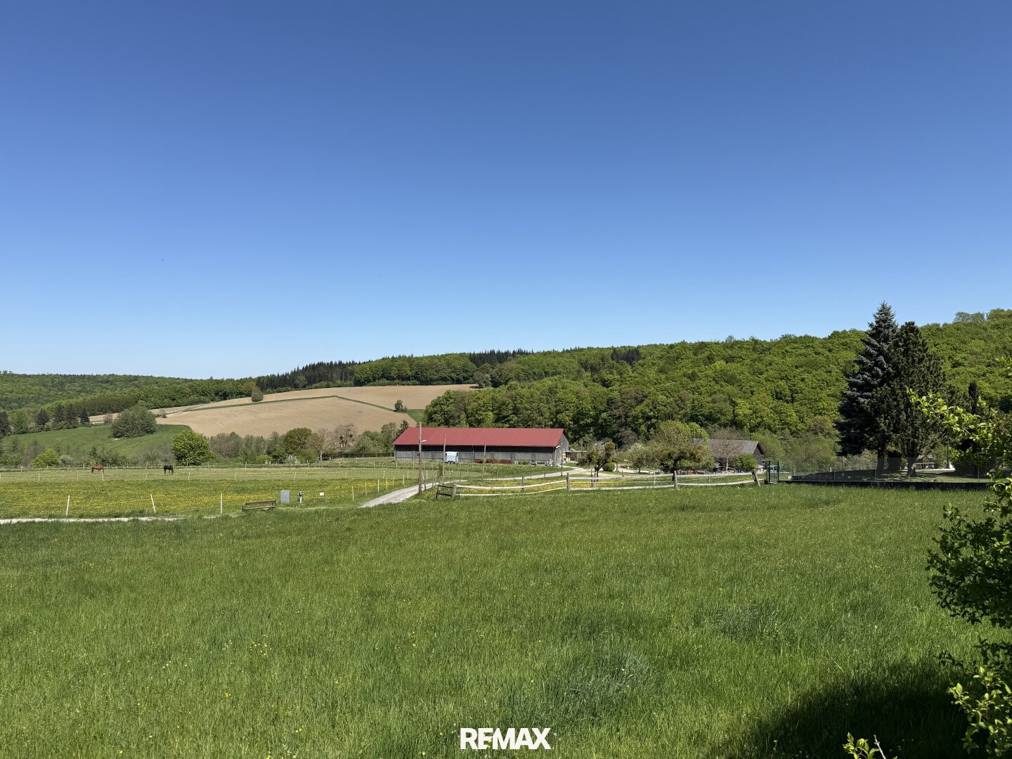 Immobilienfoto