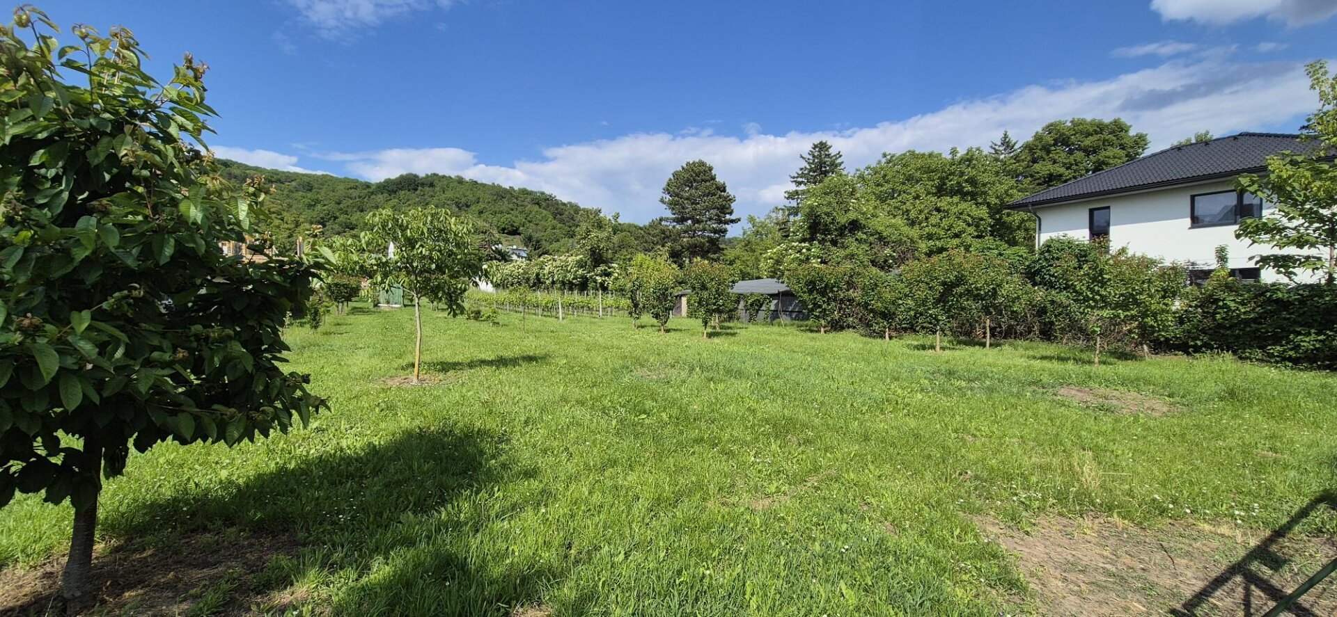 Villenbaugrund (1.335m²) in ruhiger Langenzersdorfer Siedlungslage