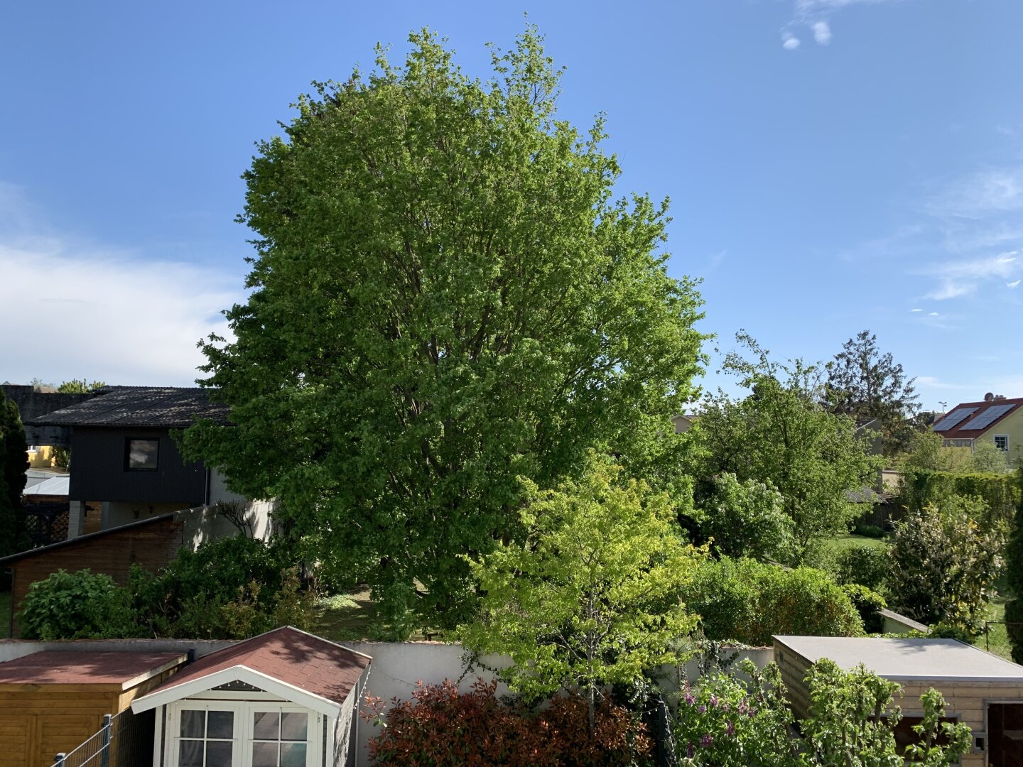 Immobilienfoto