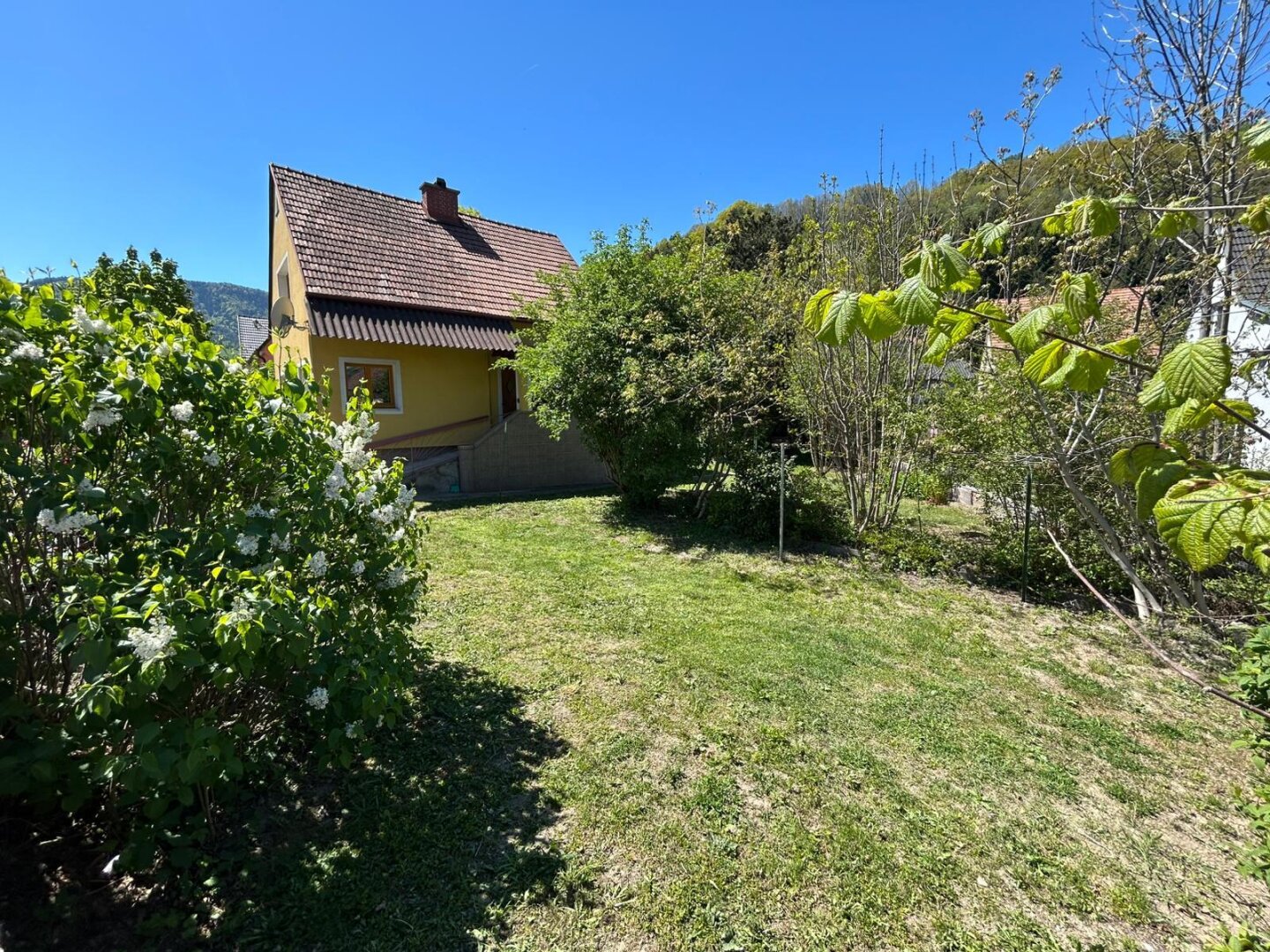 Immobilienfoto