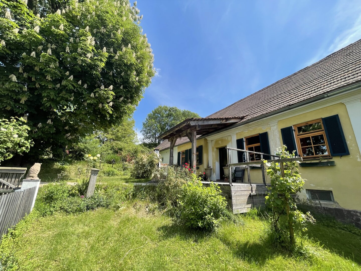 Immobilienfoto